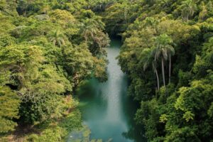 amazon river